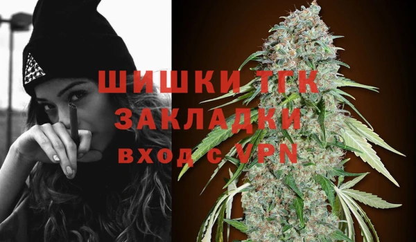 ПСИЛОЦИБИНОВЫЕ ГРИБЫ Ладушкин